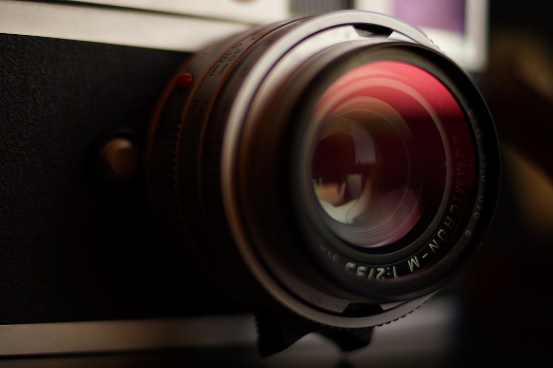 Top Photo Editor Apps for 2024